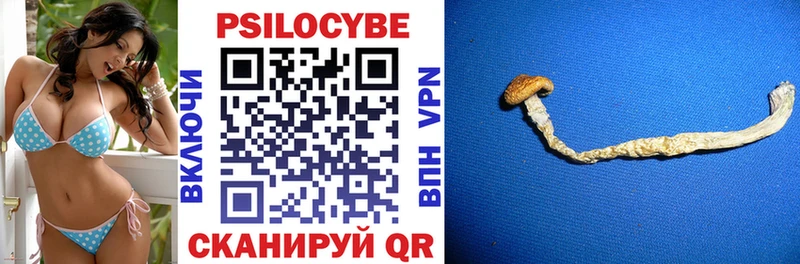 Псилоцибиновые грибы GOLDEN TEACHER  Неман 
